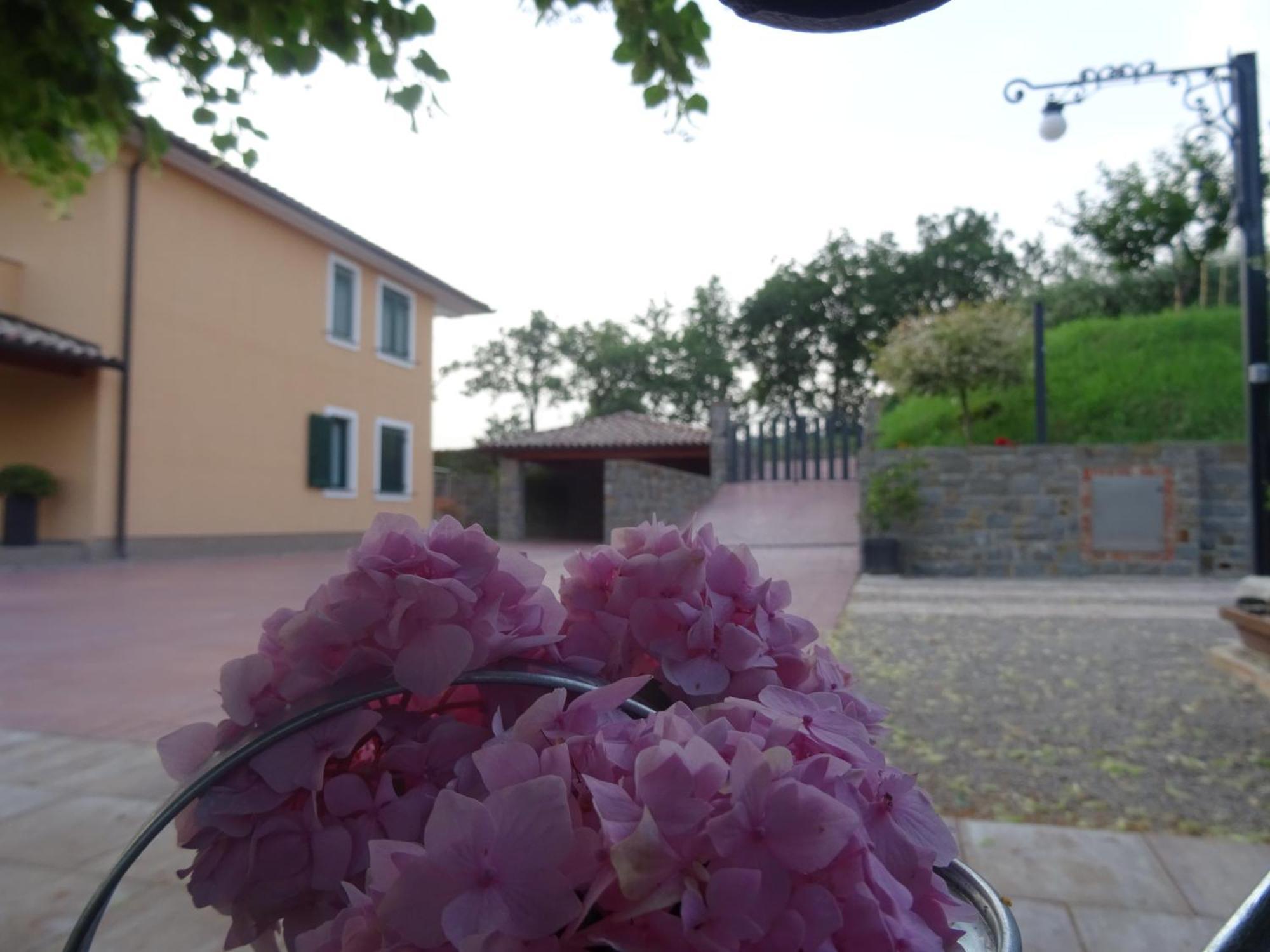 Val&Sol Apartments Secovlje Bagian luar foto